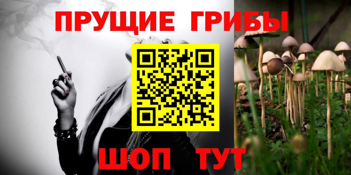 Галлюциногенные грибы мухоморы  Галлюциногенные грибы ЛСД  где продают наркотики  Грязи  Вход с VPN 